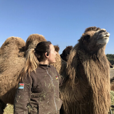 Dominique zoekt een Huurwoning / Studio / Appartement in Leeuwarden